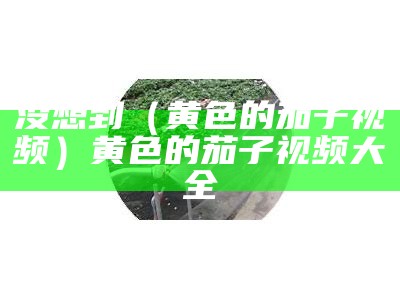 没想到（黄色的茄子视频）黄色的茄子视频大全