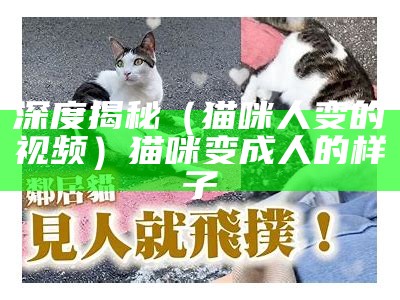 深度揭秘（猫咪人变的视频）猫咪变成人的样子