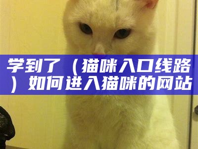 学到了（猫咪入口线路）如何进入猫咪的网站