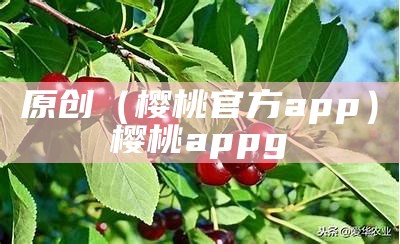 原创（樱桃官方app）樱桃appg