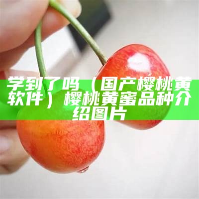 学到了吗（国产樱桃黄软件）樱桃黄蜜品种介绍图片（樱桃黄台的视频）