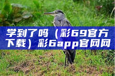 学到了吗（彩69官方下载）彩6app官网网