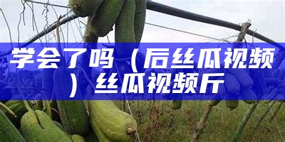 学会了吗（后丝瓜视频）丝瓜视频斤（更新后的丝瓜视频）