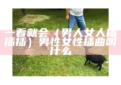 一看就会（男人女人插插插）男性女性插曲叫什么