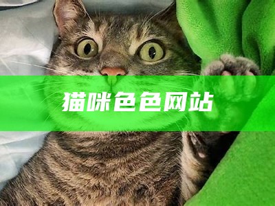 猫咪色色网站