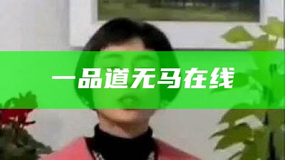 一品道无马在线