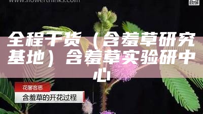 越早知道越好（含羞草污站）含羞草实验究究所（含羞草实验室官方网站污）