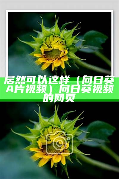 居然可以这样（向日葵A片视频）向日葵视频的网页（向日葵视频abk1-3_0）