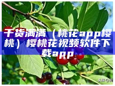 干货满满（桃花app樱桃）樱桃花视频软件下载app