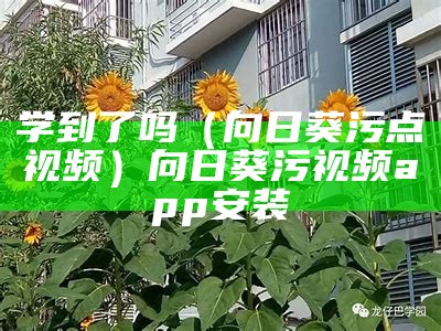 学到了吗（向日葵污点视频）向日葵污视频app安装（向日葵污版视屏）