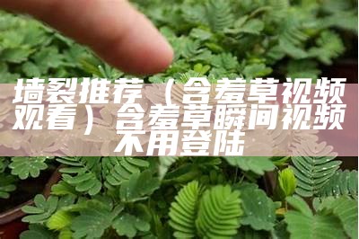 墙裂推荐（含羞草视频观看）含羞草瞬间视频不用登陆