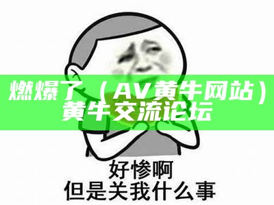 燃爆了（AV黄牛网站）黄牛交流论坛