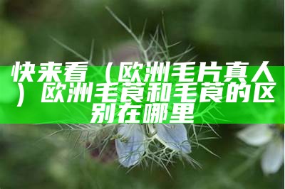 快来看（欧洲毛片真人）欧洲毛莨和毛莨的区别在哪里