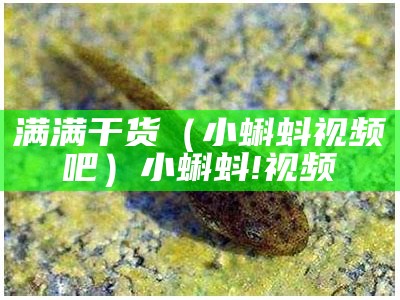 满满干货（小蝌蚪视频吧）小蝌蚪!视频（小蝌蚪小视频2021）