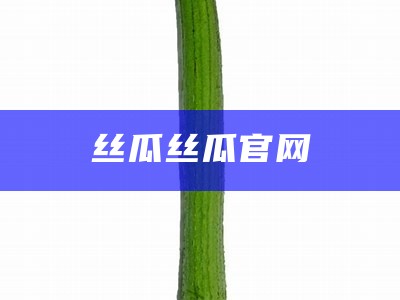 丝瓜丝瓜官网