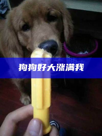 狗狗好大涨满我