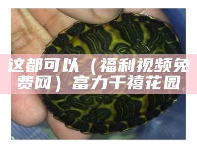 这都可以（福利视频免费网）富力千禧花园