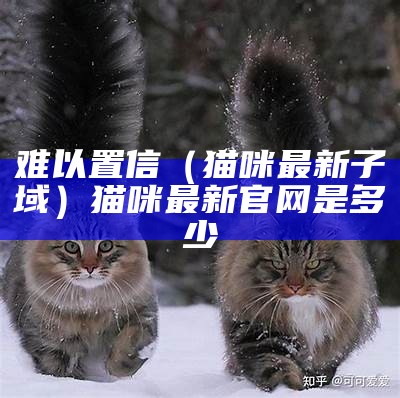 难以置信（猫咪最新子域）猫咪最新官网是多少（猫咪最新网站是多少 百度知道）