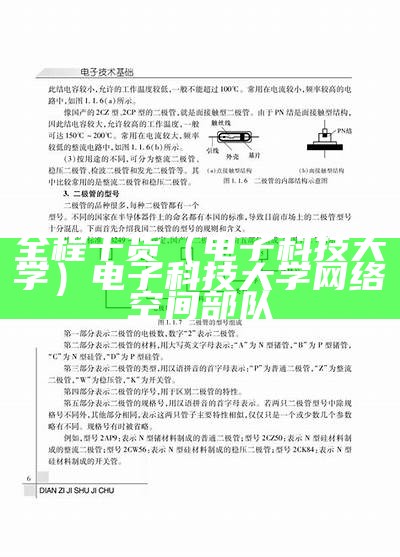 全程干货（电子科技大学）电子科技大学 网络空间部队