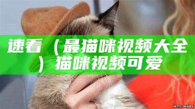 速看（最猫咪视频大全）猫咪视频可爱（猫咪视频大全搞笑可爱）