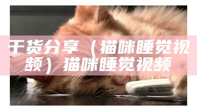 干货分享（猫咪睡觉视频）猫咪睡觉视频（猫睡觉视频全集）