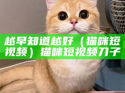 越早知道越好（猫咪短视频）猫咪短视频 刀子