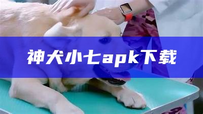 神犬小七apk下载（《神犬小七》）