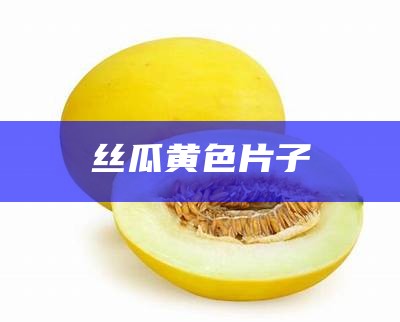 丝瓜黄色片子