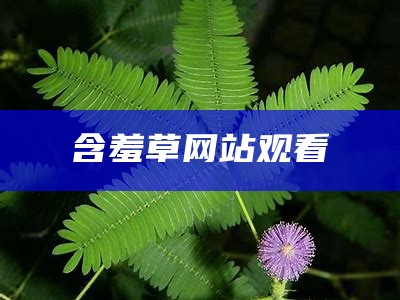 含羞草网站观看