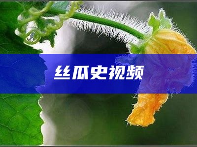 丝瓜史视频