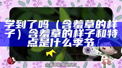 学到了吗（含羞草的样子）含羞草的样子和特点是什么季节（含羞草是什么样子的它的特点）