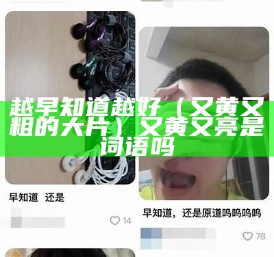 越早知道越好（又黄又粗的大片）又黄又亮是词语吗（又黄又红）