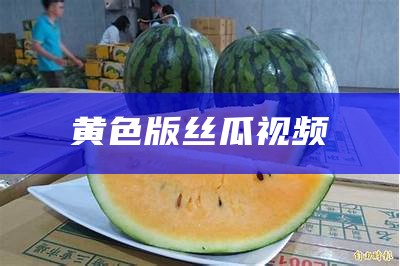 黄色版丝瓜视频