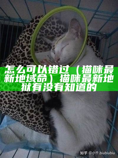 怎么可以错过（猫咪最新地域命）猫咪最新地狱有没有知道的