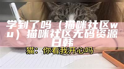 学到了吗（猫咪社区wu）猫咪社区无码资源日韩（2019年猫咪社区最新版）