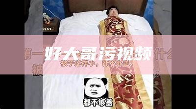 好大哥污视频