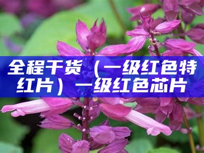 全程干货（一级红色特红片）一级红色芯片