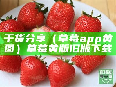 干货分享（草莓app黄图）草莓黄版旧版下载