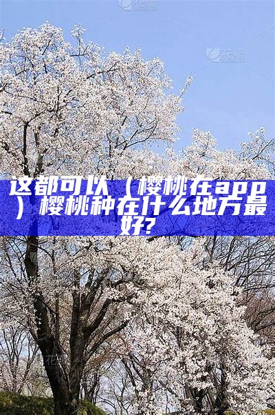 这都可以（樱桃在app）樱桃种在什么地方最好?