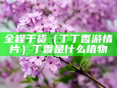 全程干货（丁丁香游情片）丁香是什么植物