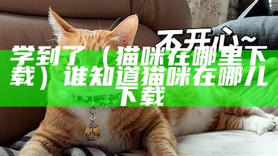 学到了（猫咪在哪里下载）谁知道猫咪在哪儿下载