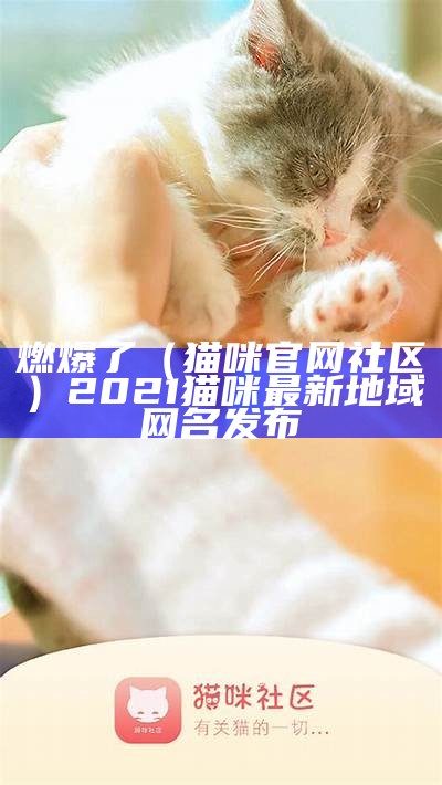 燃爆了（猫咪官网社区）2021猫咪最新地域网名发布（猫咪最新地域网名查询）