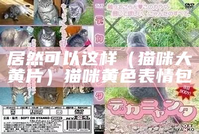 居然可以这样（猫咪大黄片）猫咪黄色表情包