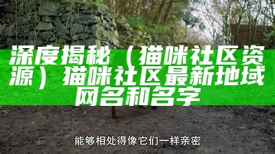 深度揭秘（猫咪社区资源）猫咪社区最新地域网名和名字（猫咪社区官网app域网名）