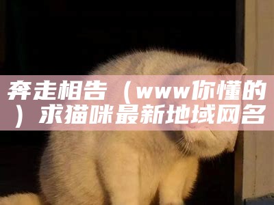 奔走相告（www你懂的）求猫咪最新地域网名（视频你懂的猫）