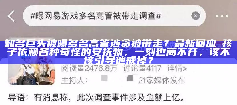 知名巨头被曝多名高管涉贪被带走？最新回应→孩子依赖各种奇怪的安抚物，一刻也离不开，该不该引导他戒掉？