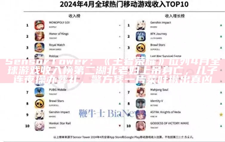 Sensor Tower：《王者荣耀》位列4月全球游戏收入榜第二湖北老妇上吊身亡，儿子连夜操办葬礼，警方凭一片菜叶揪出真凶