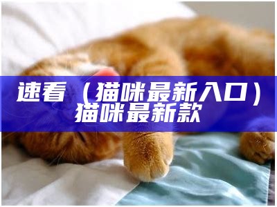 速看（猫咪最新入口）猫咪最新款