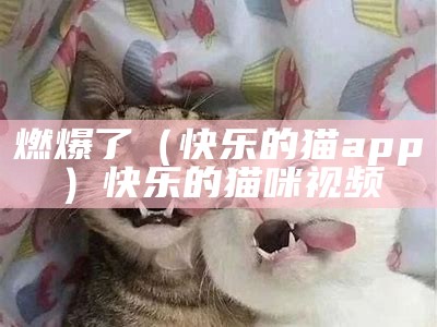 燃爆了（快乐的猫app）快乐的猫咪视频（快乐的猫app是什么）