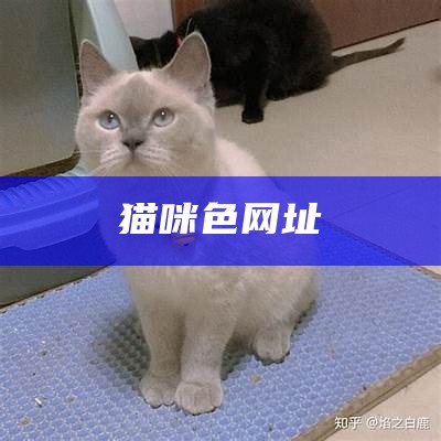 猫咪色网址（猫咪现网址）